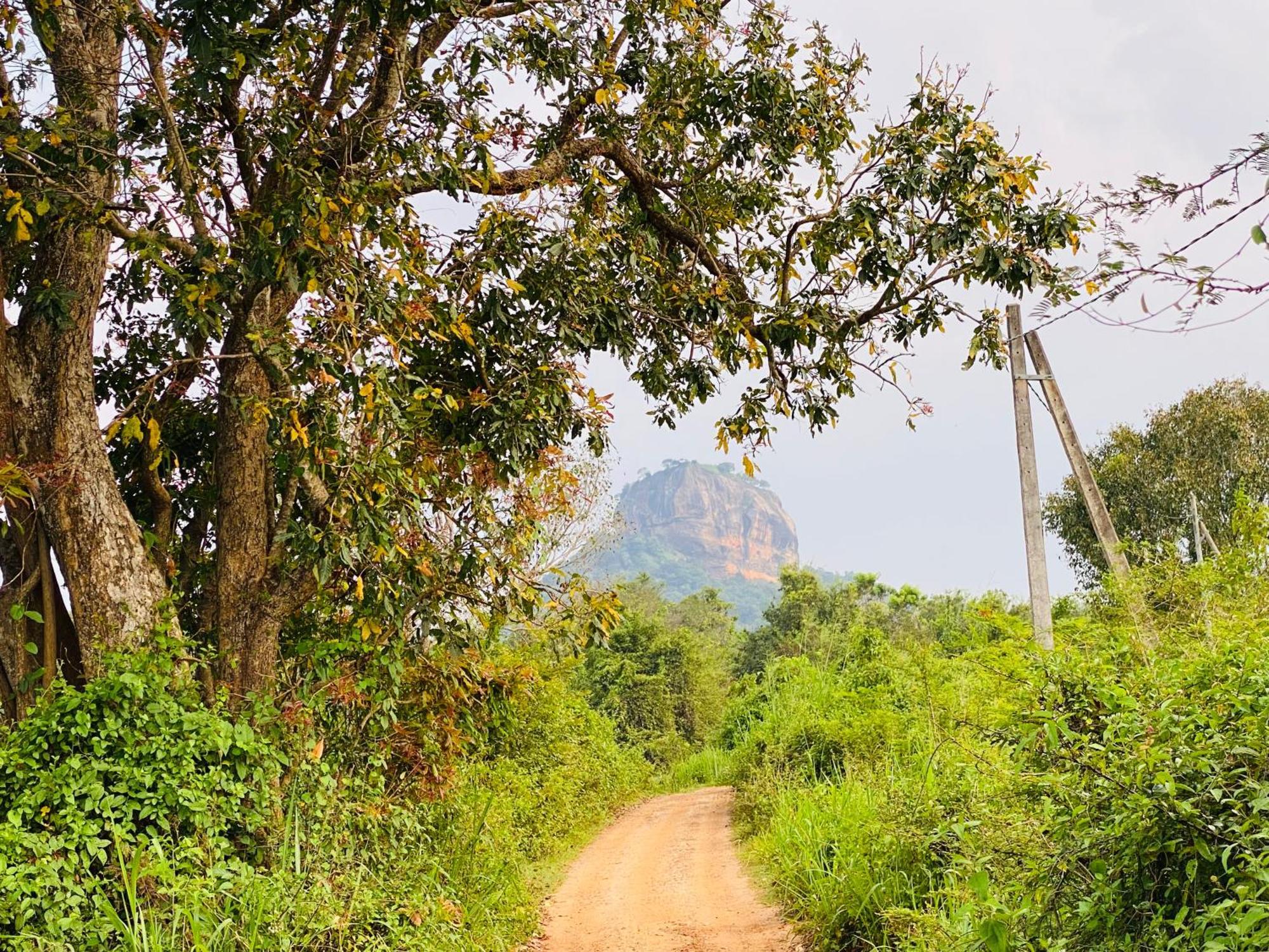Hotel Sigiriya Kele Kültér fotó