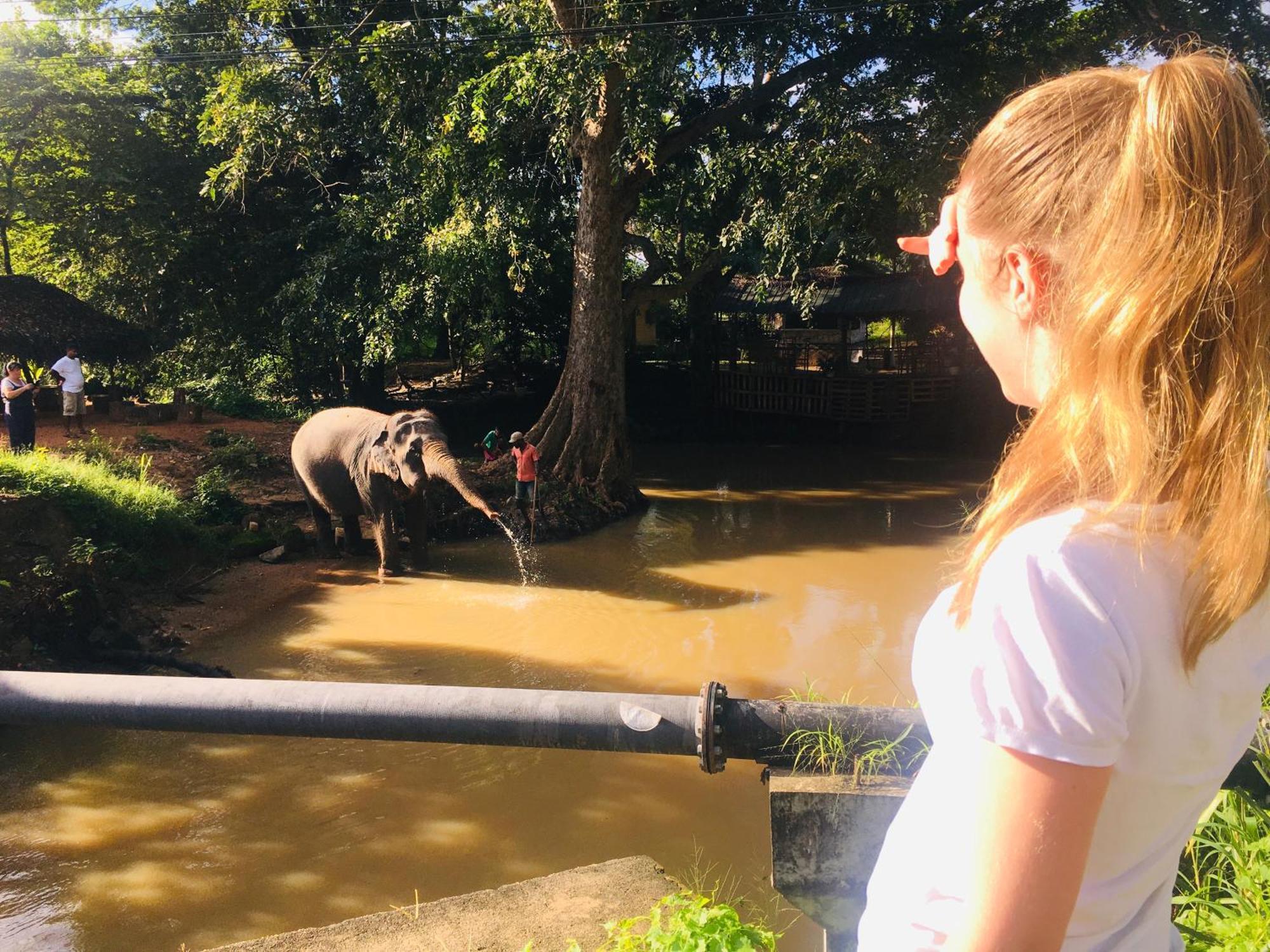 Hotel Sigiriya Kele Kültér fotó